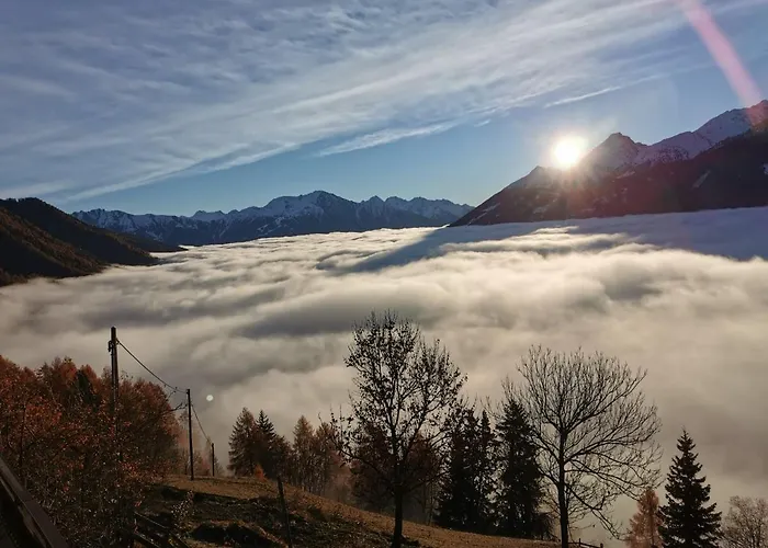Appartement Budamerhof
